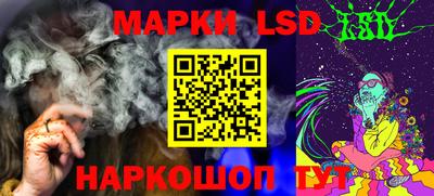 прущий лед Новозыбков