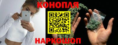 дмт Новодвинск