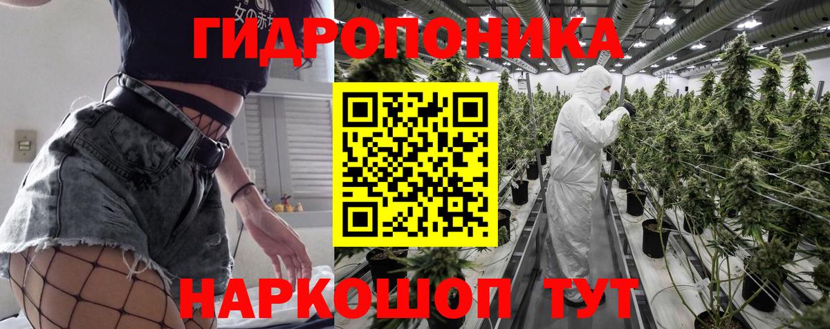 Шишки марихуана LSD WEED  Бошки марихуана план  Саранск  Вход с VPN  Конопля конопля  Марихуана марихуана 